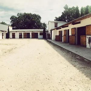  Appartement Maison Au Milieu Des Chevaux